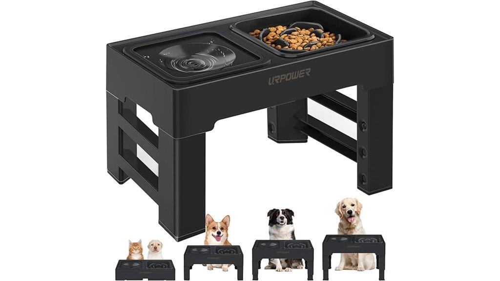 elevated slow feeder bowls