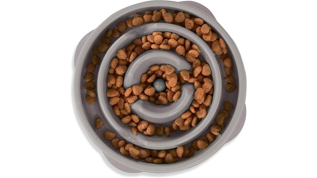 slow feeding bowl for dogs