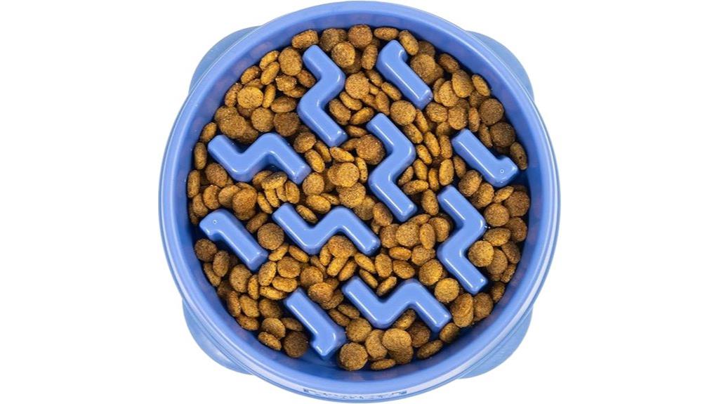 slow feeding dog bowl
