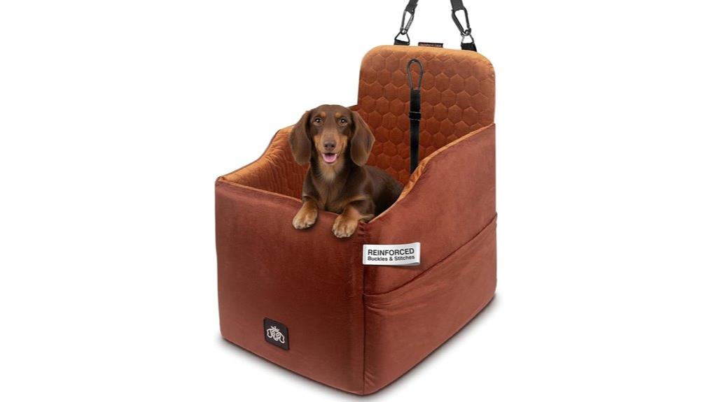 small dog car booster