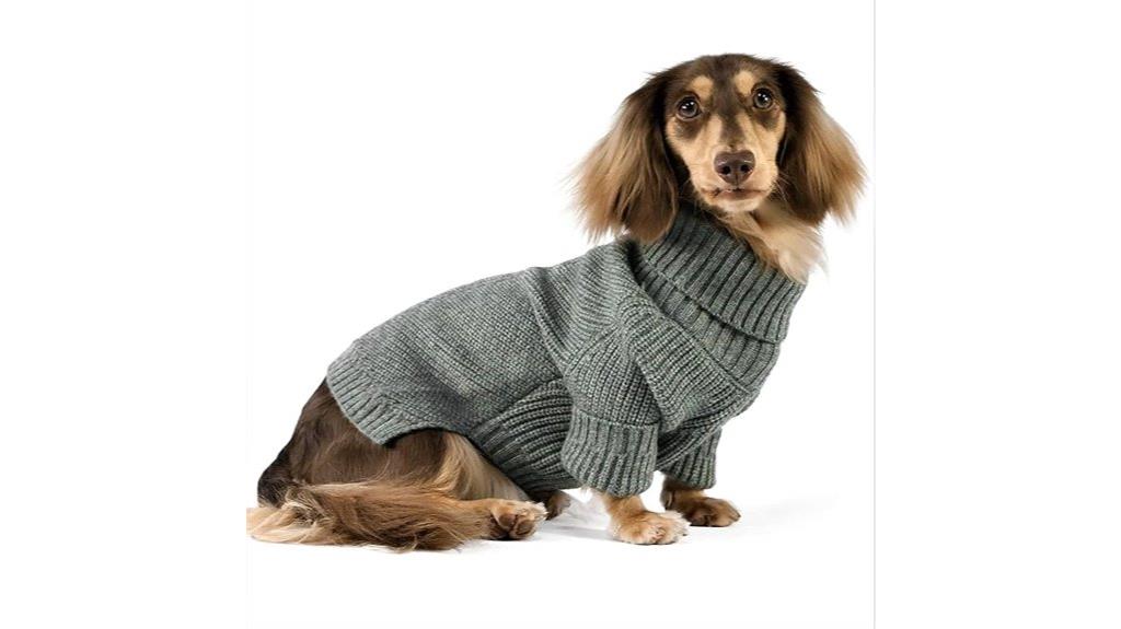 small dog turtleneck sweater